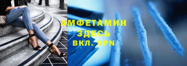 индика Аркадак