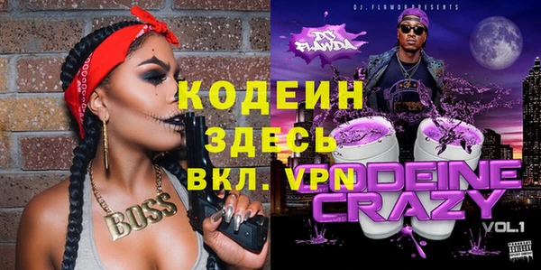 индика Аркадак