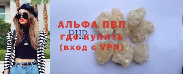 индика Аркадак