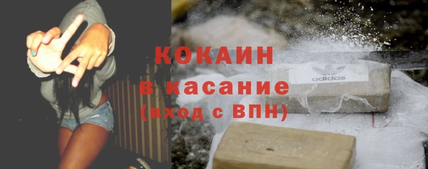 индика Аркадак