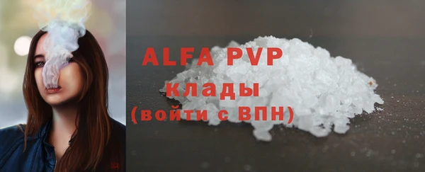 индика Аркадак
