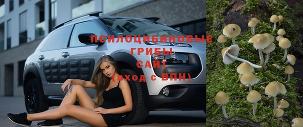 индика Аркадак