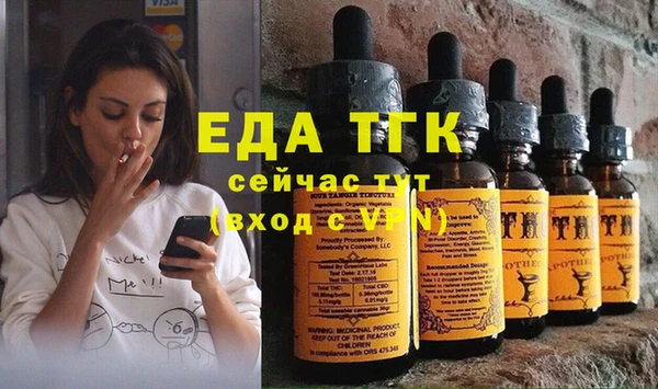 индика Аркадак