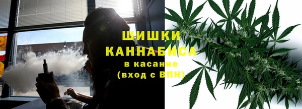 индика Аркадак