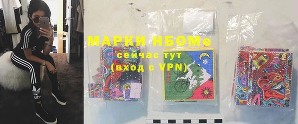 индика Аркадак