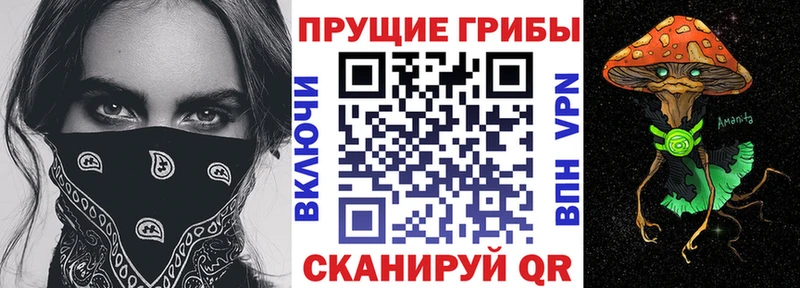 Псилоцибиновые грибы Cubensis  Купить  Беслан 