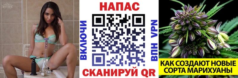 Бошки Шишки SATIVA & INDICA  Купить  Беслан 